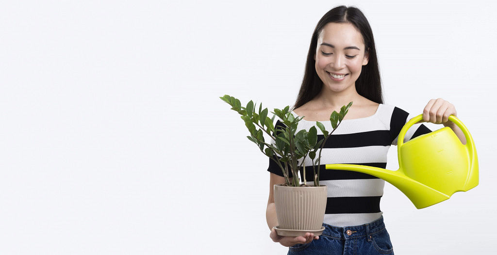 buy plants online