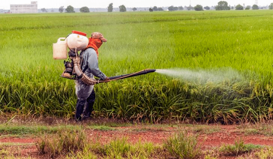Go for organic products