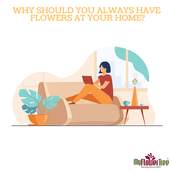Why Should You Always Have Flowers at Your Home?