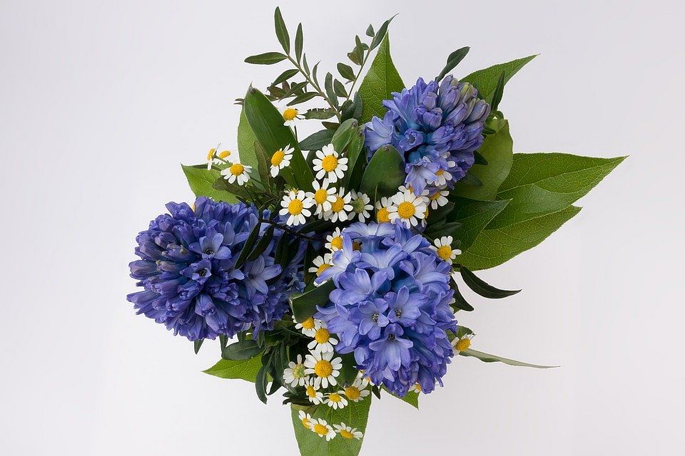 Hyacinth Flowers Bouquet