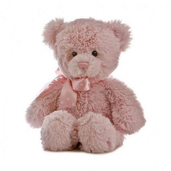 Lovely teddy bear gift for sister