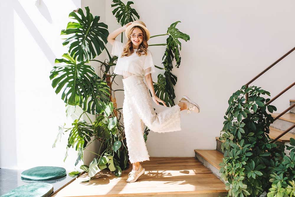Plant decoration retreat for your eyes