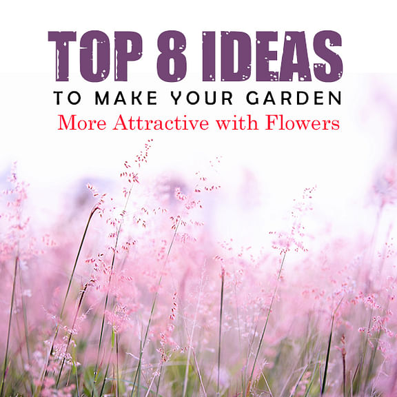 Top 8 Ideas to Make Your Garden More Attractive with Flowers