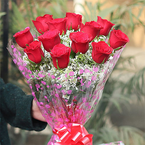 Red rose