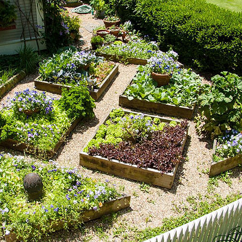 Where are you planning to locate your garden