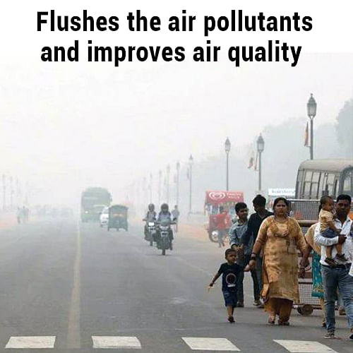 Flushes the air pollutants and improves air quality