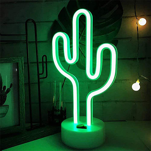Garden area with Green Cactus Neon Light
