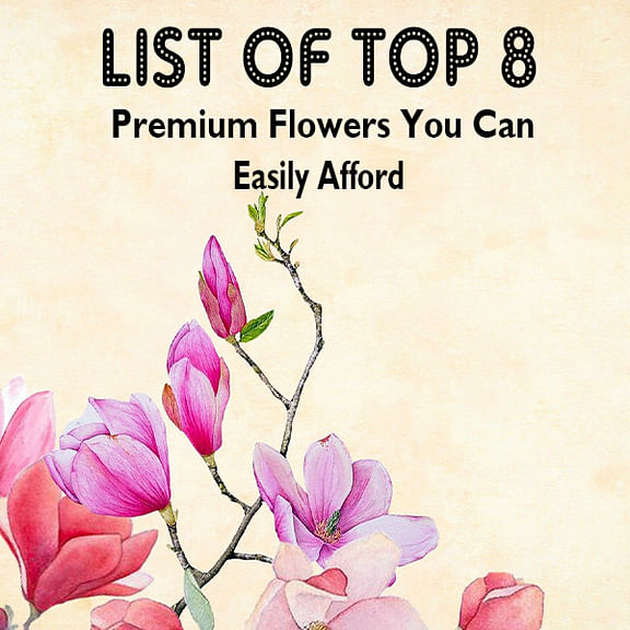 List Of Top 8 Premium Flowers You Can Easily Afford