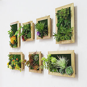 Framing The Plants On Wall