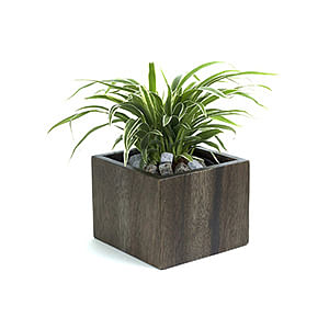 Wooden Planter Covering