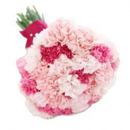 In Love Carnations