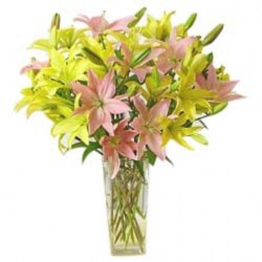 Yellow and Pink Lilies 