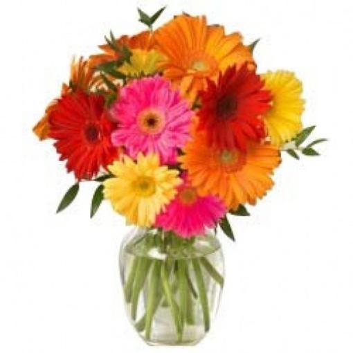 Colorful Gerberas