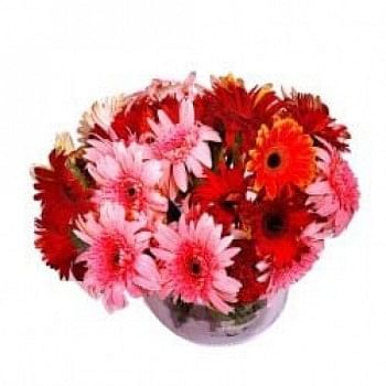 Gift Flowers Online In Badli Delhi