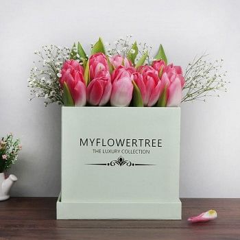 20 Pink Tulips in Myflowertree Light Green Square Box