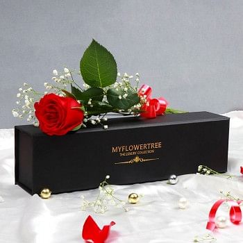 Single Red Rose in a MFT Black Luxury Box