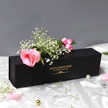 Single Light Pink Rose in a MFT Black Luxury Box