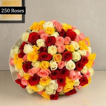 250 Mixed Roses with Paper Packing