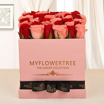 30 baby pink and red roses in MFT pink box tied with black ribbon