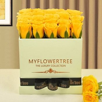 30 yellow roses in lime green box tied with black ribbon