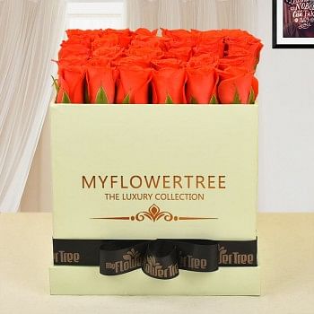 30 orange roses in lime green box tied with black ribbon