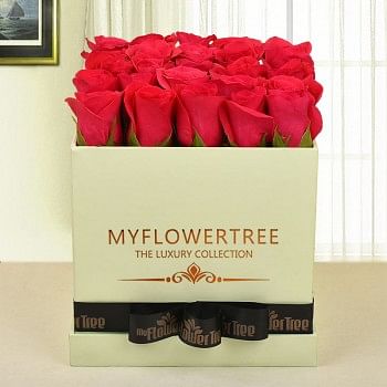30 dark pink roses in lime green box tied with black ribbon