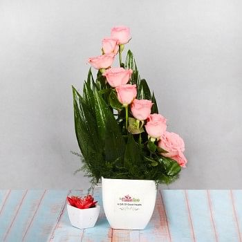 Floral Arrangement of 10 Pink Roses in a White Plastic Pot