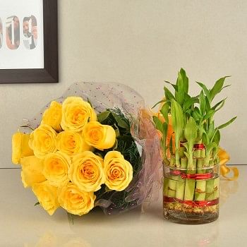 Fathers Day Flowers Online