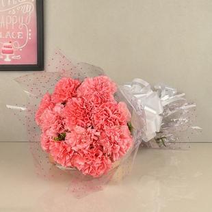 Lovely Pink Carnations