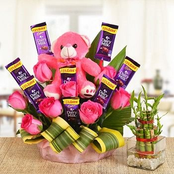 A Basket Arrangement of 8 Pink roses, 8 Cadbury's Dairy Milk of 13 gms each and a pink Teddy bear (6 Inches) with dracaena leaves with 2 layer Lucky Bamboo Plant