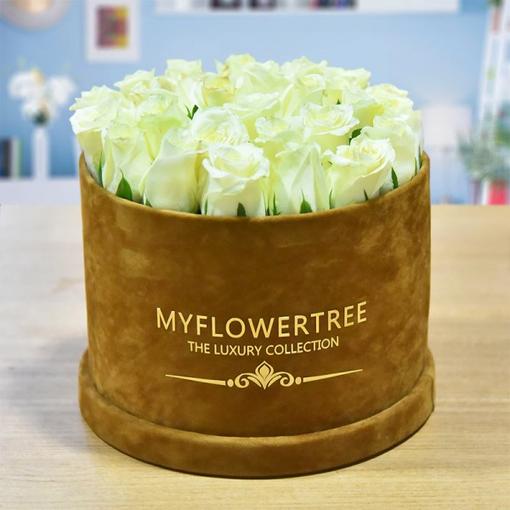 Perfect Tranquillity