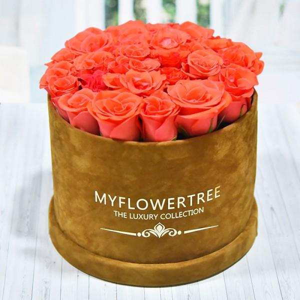 40 Roses in Luxury Box