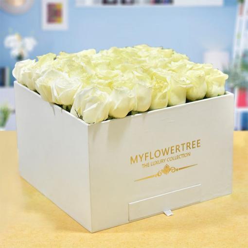 Soothing Presentation