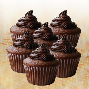 Chocolate Truffle Cupcakes