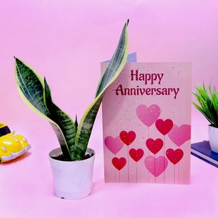 Peaceful Anniversary Combo