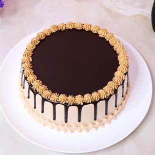 Coffee Chocochip Cake