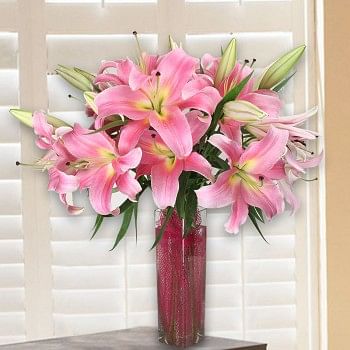  10 Light Pink Oriental Lilies in Square Glass Vase 