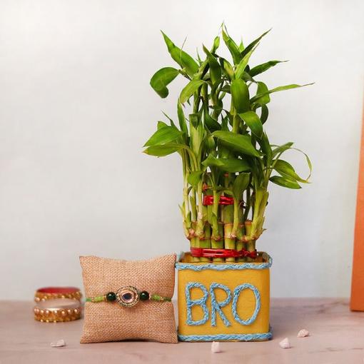 Wish You Luck Bro Wish You Luck Bro