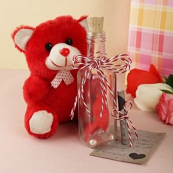 Message in a Bottle with Teddy Bear