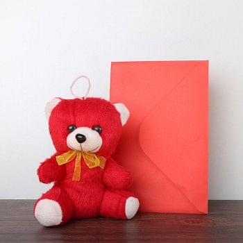 Valentines Day Teddy Bear