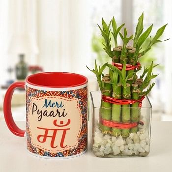 Meri Pyari Ma Printed Coffee Mug with Lucky Bamboo