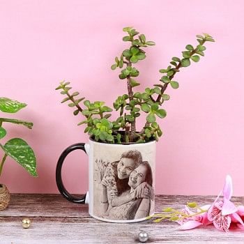 One Sketcth Art Personalised Mug with Jade Terrarium Plant