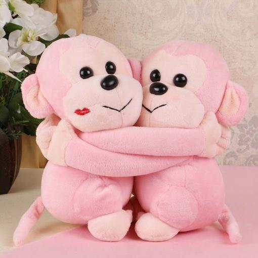 Hugging Monkeys