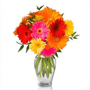 Gerbera Bouquet