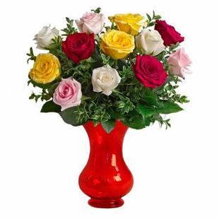 Dozen Assorted Roses