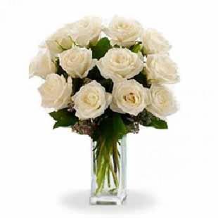 Dozen White Roses