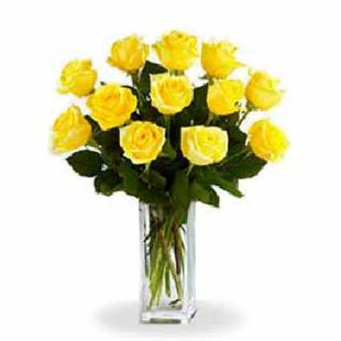 Dozen Yellow Roses