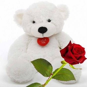 Beautiful Rose For Rose Day