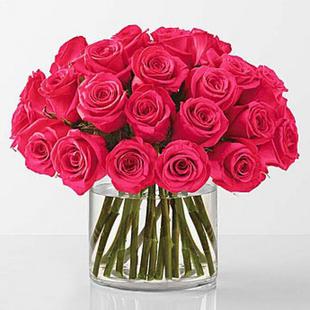 Hot Pink Roses