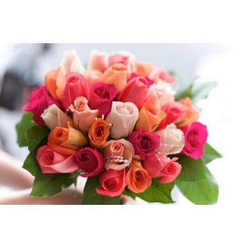 24 Roses Bunch (8 Orange, 8 Dark Pink and 8 Light Pink)